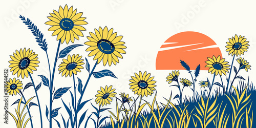 A field of sunflowers at sunset Vector