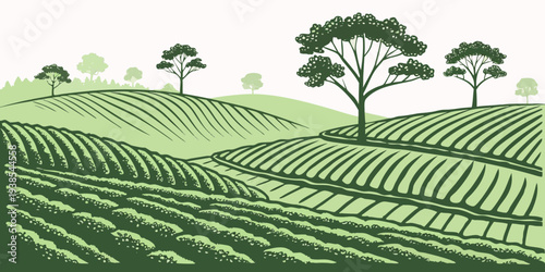 A green landscape with trees and rows of crops Vector