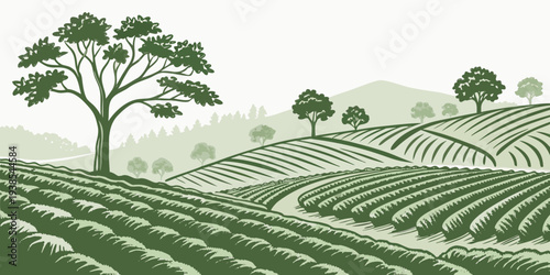 A green field with trees and rows of crops Vector