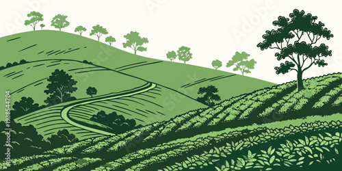 A green hillside with trees and rows of plants Vector