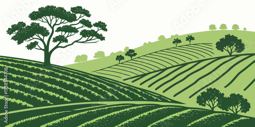 A green landscape with trees and rows of crops Vector