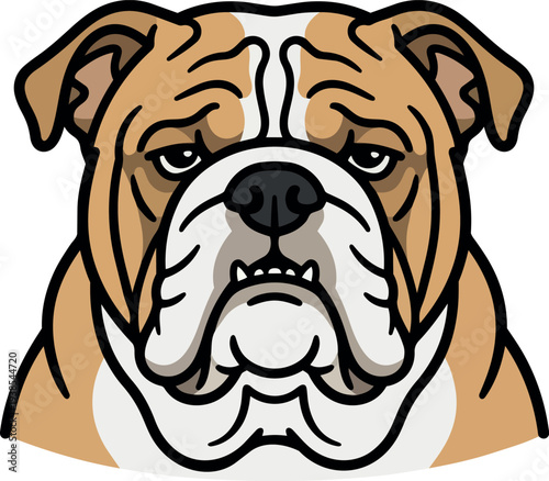 Cartoon vector bulldog head frontal close up english bulldog looking at camera tan and white mascot style with bold outline headshot