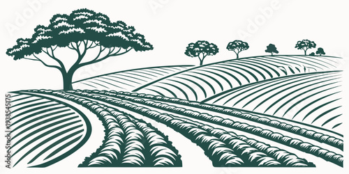 A green and white drawing of a vineyard with trees Vector