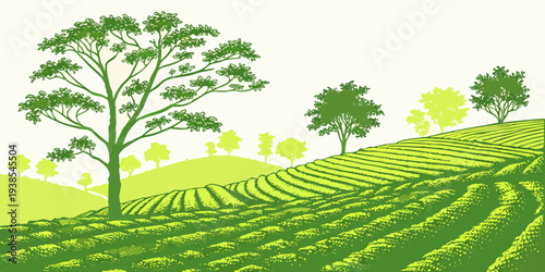 A green landscape with trees and a field of crops Vector