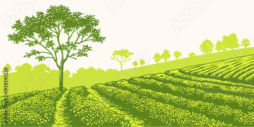 A green field with a tree on the left side and rows of crops Vector
