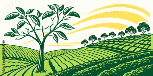 A green field with a tree and rows of crops Vector