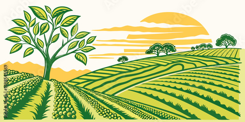 A tree stands in a field of crops at sunset Vector