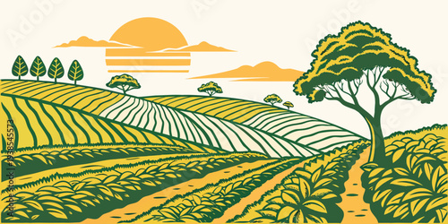 A serene vineyard landscape at sunset with lush greenery Vector