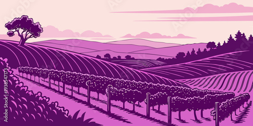 A purple and pink illustration of a vineyard landscape Vector