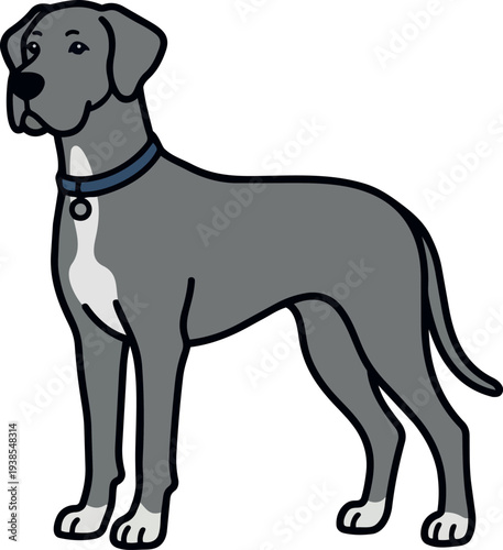 Flat design profile view standing gray dog wearing blue collar looking left with white chest markings on plain white background
