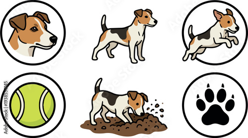 Cartoon vector head and action jack russell terrier jumping digging standing with tennis ball paw icons flat design side closeup