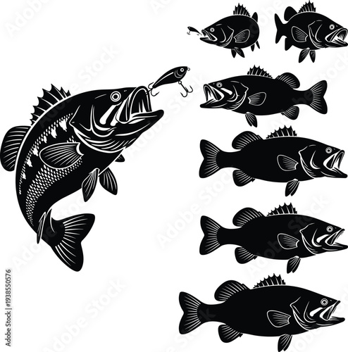 Largemouth bass silhouettes, fishing lure, aggressive fish, aquatic life, sport fishing icons, black vector set, underwater action, predator fish