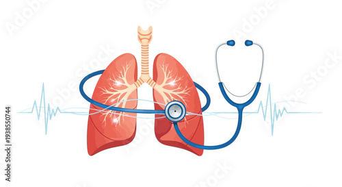 Anatomical lungs with stethoscope and heartbeat line representing respiratory health