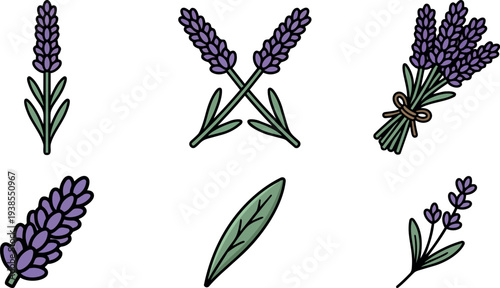 Flat design hand drawn lavender icon set showing six sprigs and bouquet close up top view outline minimalist soft pastel