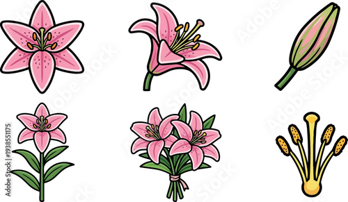 Flat design pink lily sticker set showing blossom bud stem bouquet close up top view with bold outline pastel colors vector