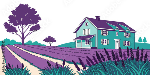 A house surrounded by a field of lavender Vector