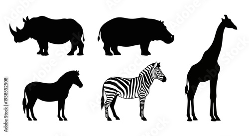 African Animals Silhouettes Set: Rhino, Hippo, Giraffe, Zebra, Wild Equine Vector