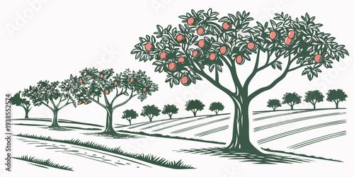 An illustration of a tree with red fruit in an orchard Vector