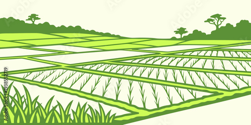 A green rice field with trees in the background Vector