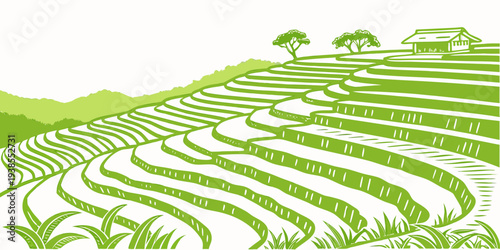 A green field with rows of grass and trees Vector