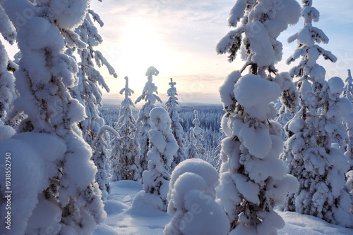 фотографія Explore the enchanting winter wonderland of Akaslompolo under a glimmering sun