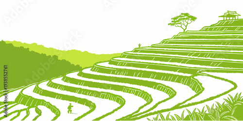 A green hillside with terraced fields and trees Vector