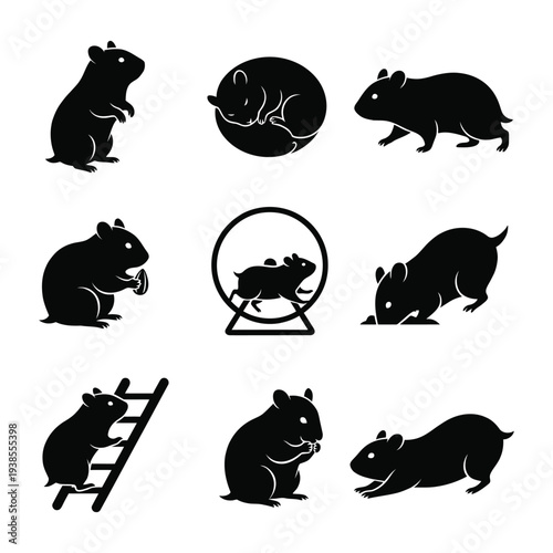 Hamster Life Cycle and Activity Icons Set - Black Silhouette Vector Illustrations