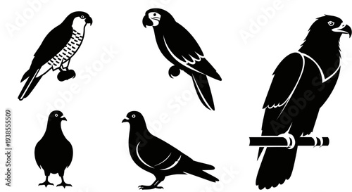 Collection of Bird Silhouettes: Falcon, Parrot, Eagle, and Pigeons in Graphic Style