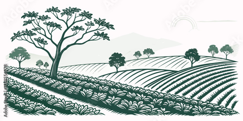 A green and white image of a vineyard with trees Vector