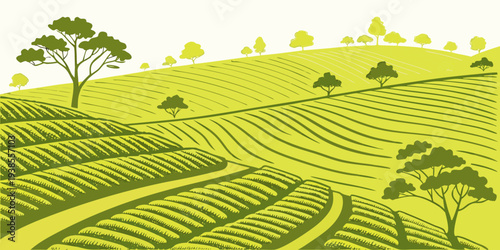 A green and yellow image of a tea plantation Vector