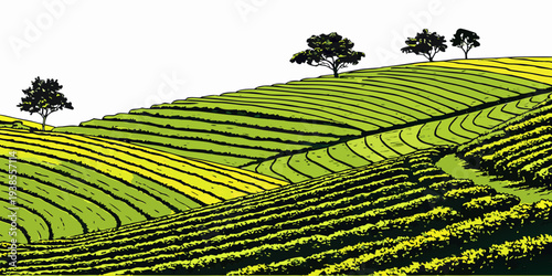 A green hillside with trees and rows of plants Vector