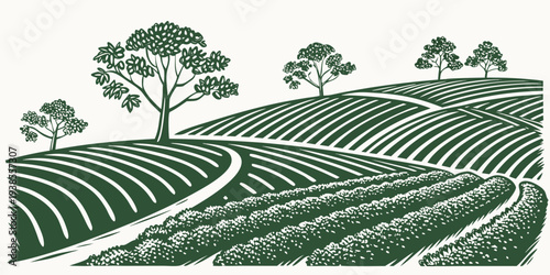 A green illustration of a vineyard with trees on a hillside Vector