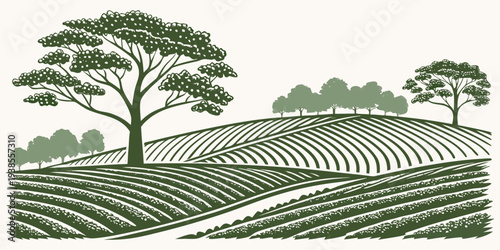 A green illustration of a vineyard with trees Vector