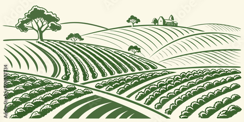 A green and white image of a vineyard with rolling hills and trees Vector