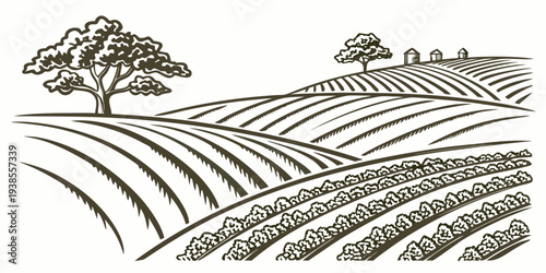 A drawing of a tree on a hill with rows of crops Vector