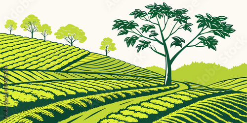 A green landscape with trees and rows of plants Vector