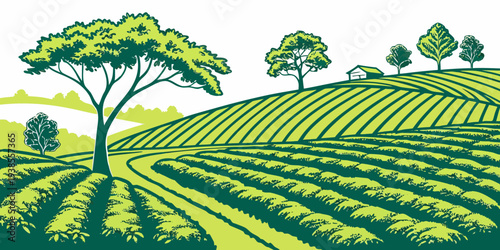 A green tea plantation with trees on a hill Vector