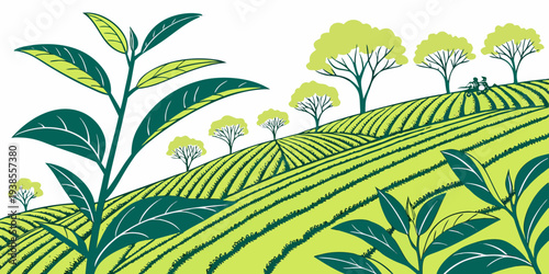 A green hillside with plants and trees on a white background Vector