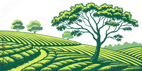 A tree stands tall in a lush green tea field on a sunny day Vector