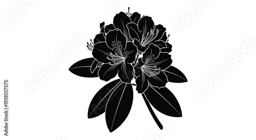 Fotografie A striking black floral arrangement depicts a cluster of rhododendron blooms in