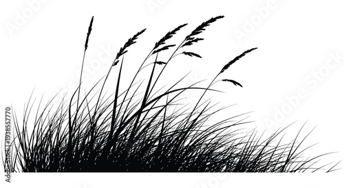 A striking black and white image depicts tall grasses swaying gently in the wind creating a peaceful silhouette high quality professional
