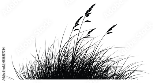 A striking black and white depiction of tall grasses swaying gently in the breeze presented as a silhouette high quality professional