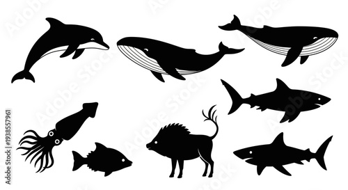 Diverse Animal Silhouettes Collection: Marine Life and Wild Boar Outlines on White