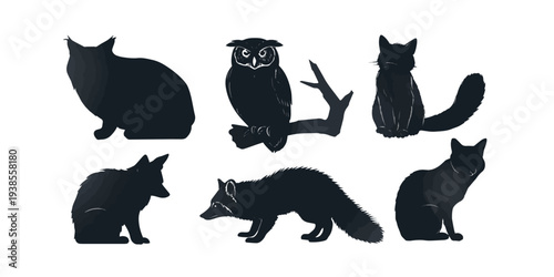 Collection of nocturnal animal silhouettes including owl, bat, and fox, isolated on transparent background