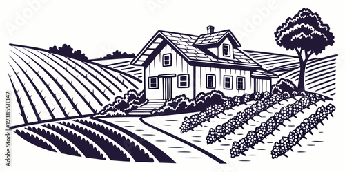 A house in a vineyard with rows of grapevines Vector