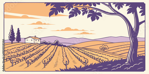 A serene vineyard landscape at sunset Vector