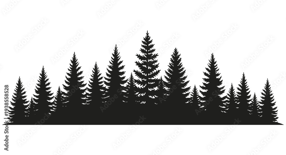 Obraz premium A dense grouping of coniferous trees creates a striking dark outline against a white background silhouette high quality professional