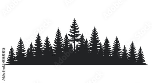 A dense grouping of evergreen trees creates a striking dark form against a bright background silhouette high quality professional
