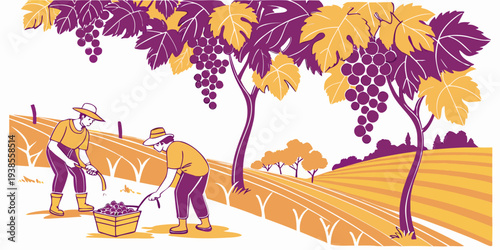 Workers in a vineyard harvesting grapes Vector
