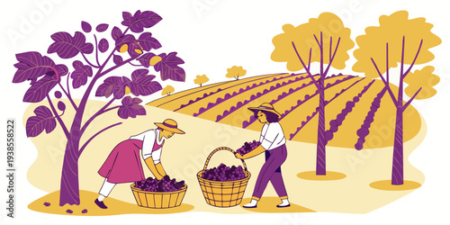 People working in a vineyard on a sunny day Vector
